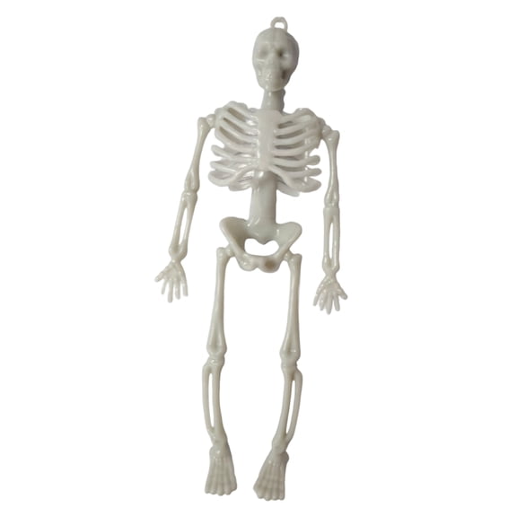 Halloween Realistic Human Skeleton Model 5.9 Inch, Hanging Desktop Ornament for Halloween Party Display Prop, White