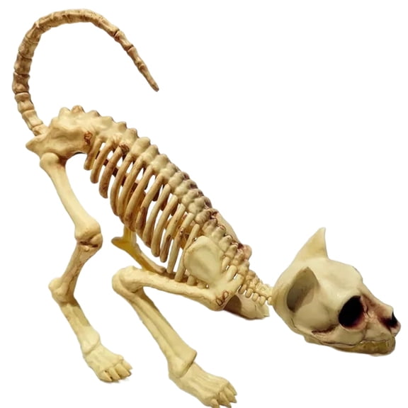 Halloween Scary Decoration Crouching Cat Skull Model Creepy Animal for VAMPIRE Party Trick
