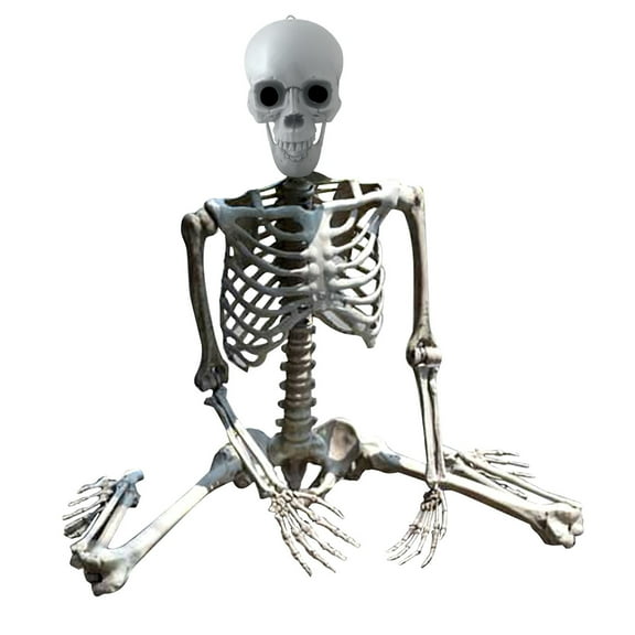 Halloween Skeleton 35.43inch Human Skeleton Model for Anatomy Human Full Size Skull Hand Life Body Anatomy Model Decor With Lamp for Medical Study and Display