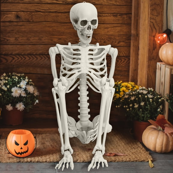 WETLA Halloween Skeleton, 5.4FT Life Size Realistic Human Bones with Joints Pose Prop Decoration for Party or Graveyard