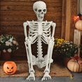 thumbnail image 1 of Halloween Skeleton, 5.4FT Life Size Realistic Human Bones with Joints Pose Prop Decoration for Party or Graveyard, 1 of 9