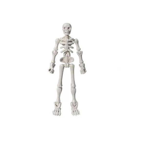Halloween Skeleton Action Figure Magnetic Skull Joint Figure Posable Skeleton Model Desktop Decoration Sketch Reference Figure Halloween Display Ornament Collectible Decor