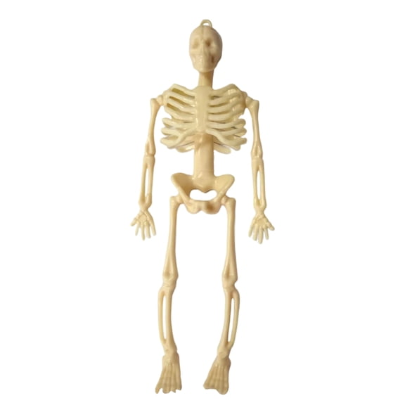 Halloween Skeleton Decor – Full Body Posable Skeletons with Stayable Movable Joints – Hanging Skeletons for Halloween Decoration Graveyard Haunted House (Beige)