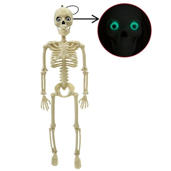 Halloween Skeleton Decoration Adjustable Plastic Skull Glow in Dark Prop 16 Inch