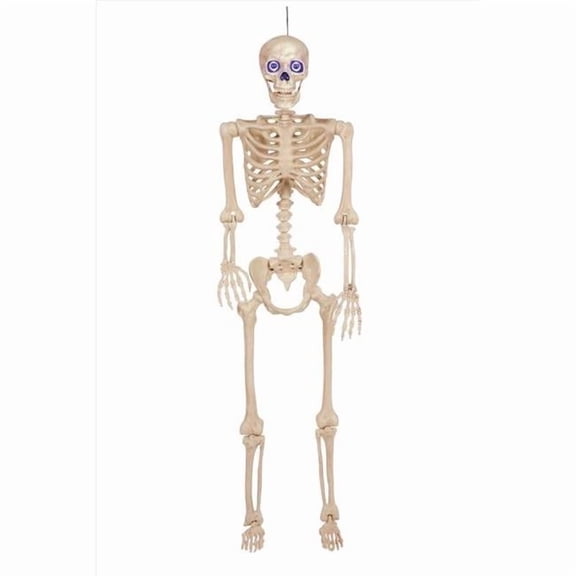 Halloween Skeleton Decoration - Multi Color - 60 in. - LED Light Up