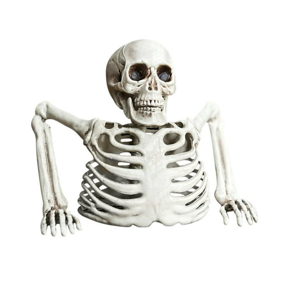 Halloween Skeleton Decoration, Tabletop Skeleton Prop, White Plastic Half Skeleton for Indoor Outdoor Halloween Decor, Realistic Detailed Halloween Party Centerpiece