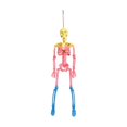 thumbnail image 1 of Halloween Skeleton Decorations 16 Inch Posable Plastic Skeleton Colorful Pastel Halloween Decor Hanging Ornament for Indoor Outdoor Front Porch Window Party Home Display 1 Pack, 1 of 2