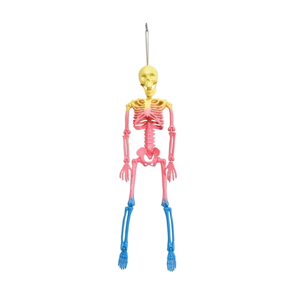 Halloween Skeleton Decorations 16 Inch Posable Plastic Skeleton Colorful Pastel Halloween Decor Hanging Ornament for Indoor Outdoor Front Porch Window Party Home Display 1 Pack