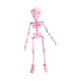 thumbnail image 1 of Halloween Skeleton Decorations 8 Inch Pink Poseable Skeleton Refrigerator Spooky Small Halloween Decor for Kitchen Office Classroom Home Party 1 Pack, 1 of 5