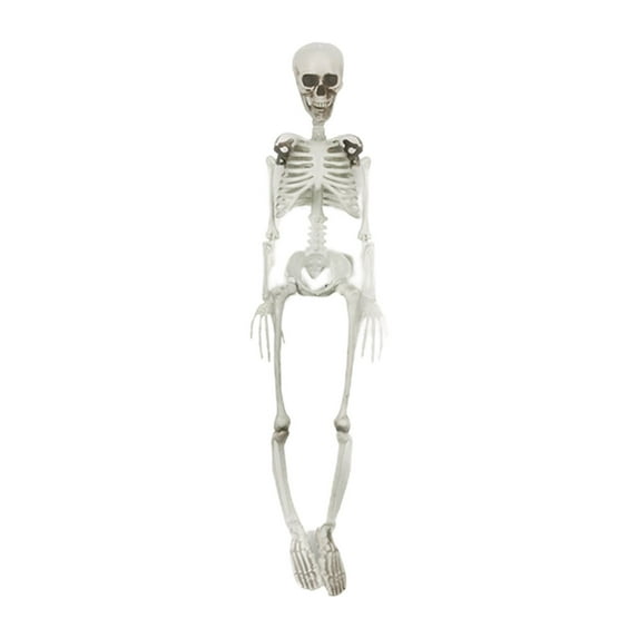 Halloween Skeleton Decorations, Human Bones for Halloween Party Hanging Plastic Skeleton Decor for Halloween Haunted Houses, Front Lawn, Graveyard Props, Lifelike Skeleton Model