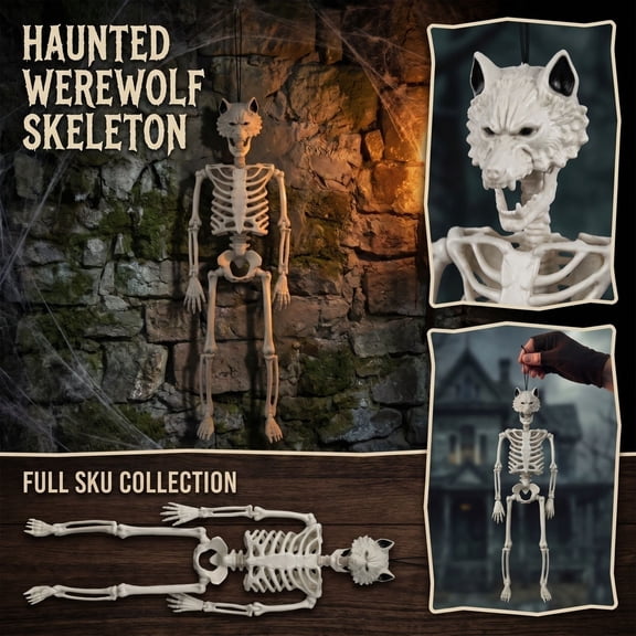 Halloween Skeleton Decorations, Posable Skeleton with Movable Joints for Standing and Hanging Display, Hanging Halloween Decorations for Haunted House Porch Yard Party, Spooky