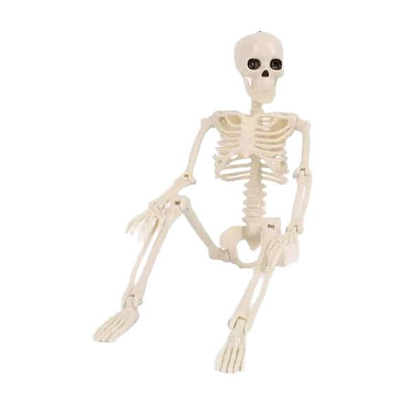 Halloween Skeleton Decorations with Posable Skeleton,for Haunted House,16 Inch 1 Pack