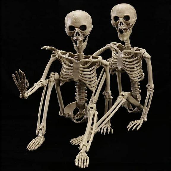 Halloween Skeleton Life Size Full Body Realistic Posable Movable Jonints for Halloween Party Decoration Décor