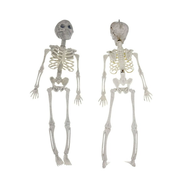 Halloween Skeleton Life Size,Skeleton Decor 15.75inch Full Body Skeleton with Posable Movable Joints for Halloween Decorations,Graveyard Props,Ghost House Accessories,Spooky Scene Party Favors