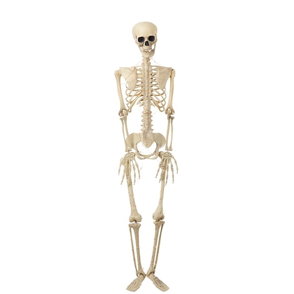 Halloween Skeleton Poseable Lighted Decor 16 Inch 35 Inch and 65 Inch