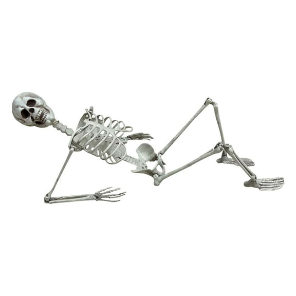 Halloween Skeleton Prop Human Full Size Skull Hand Life Body Anatomy Model Decor 2pc