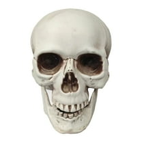 Halloween Skeleton Skull Head Statue - Realistic Human Skull Figurine for Decor, White Skull for Tabletop, Garden, Yard, and Outdoor Halloween Party Decoration (Various Sizes)