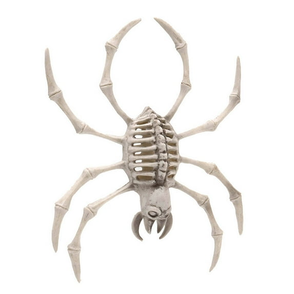 Halloween Skeleton Spider Decor with Posable Joints - 6.7 Inch Haunted House Prop for Indoor Outdoor Party, Graveyard Scene, and Spooky Photo Backdrop