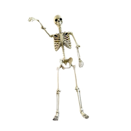 Halloween Skeleton Statue Skull Full Body 40cm PP Material for Party Home Outdoor Decor