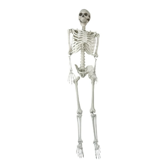Halloween Skeletons Life Size,Realistic Human Skeleton Full Body,Movable Posable Joints Skeleton,Creepy Halloween Plastic Skeleton for Graveyard Decorations,Haunted House Props Indoor/Outdoor Decor