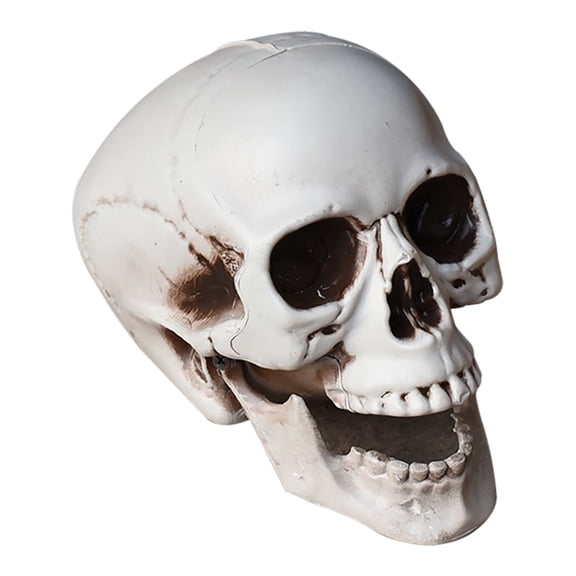 Halloween Skeletons Plastic Realistic Fake Simulation Human Skull HeadBone Model Halloween Prop Realistic Mini Skeleton Spooky Halloween Decoration