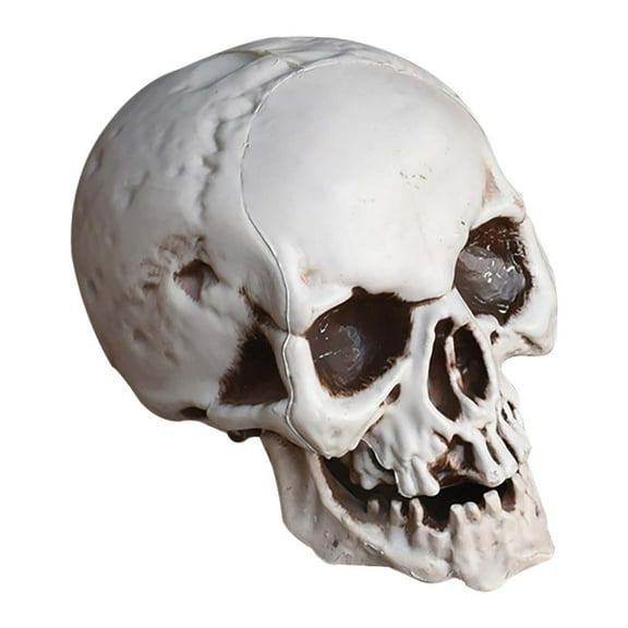 Halloween Skeletons Plastic Realistic Fake Simulation Human Skull HeadBone Model Halloween Prop Realistic Mini Skeleton Spooky Halloween Decoration