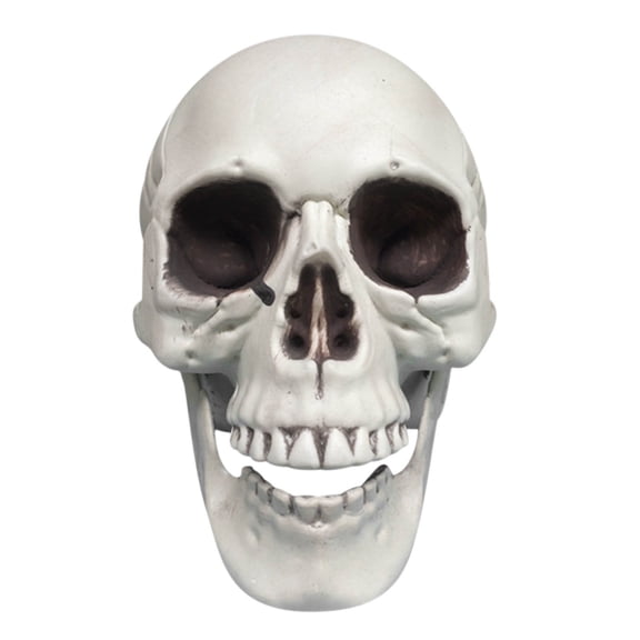 Halloween Skeletons Plastic Realistic Fake Simulation Human Skull HeadBone Model Halloween Prop Realistic Mini Skeleton Spooky Halloween Decoration
