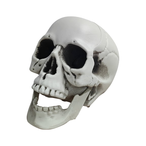 Halloween Skeletons Plastic Realistic Fake Simulation Human Skull HeadBone Model Halloween Prop Realistic Mini Skeleton Spooky Halloween Decoration