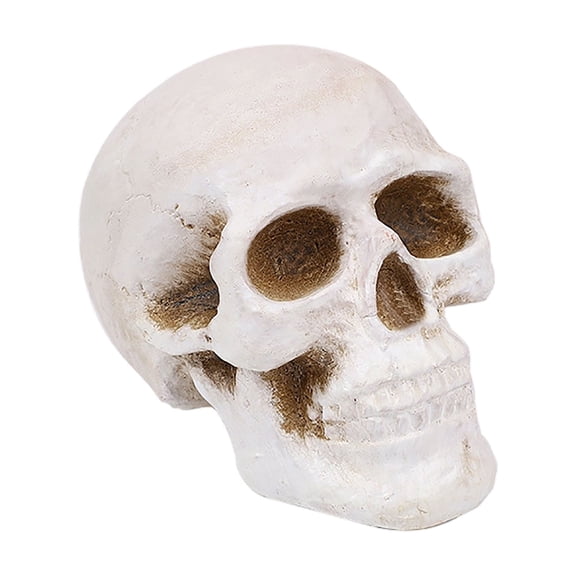 Halloween Skull Heads Decor 1 Pack Ceramic Realistic Skeleton Skulls Head Statue, 3.94 Inch Human Skull Model for Party Bar Home Table, Prank Props Display Decoration