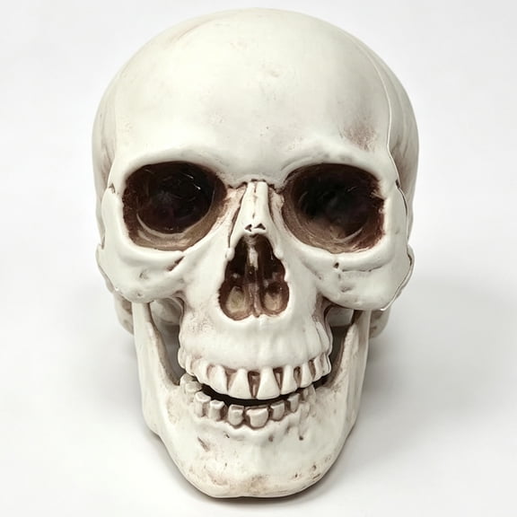 Halloween Skull, Human Skeleton Head Props for Home Table Halloween Decor & Party Skeleton Decoration