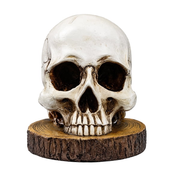 Halloween Skull Knife Holder, Realistic Storage Head Rack, Creative Skeleton Knife Holder for Home Kitchen