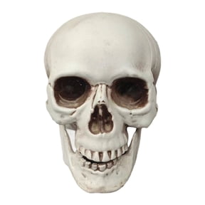 Halloween Skulls Realistic Looking Skulls Human Skeleton Head for Halloween Bar Home Table Decoration Mini Skulls