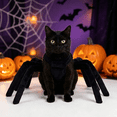 thumbnail image 1 of Halloween Spider Costume for Dogs and Cats, Adjustable Spider Pet Costume with 8 Furry Legs, Black Halloween Costume for Cats, Pet Cosplay Outfit for Halloween Party(Spider Legs, XXL), 1 of 7