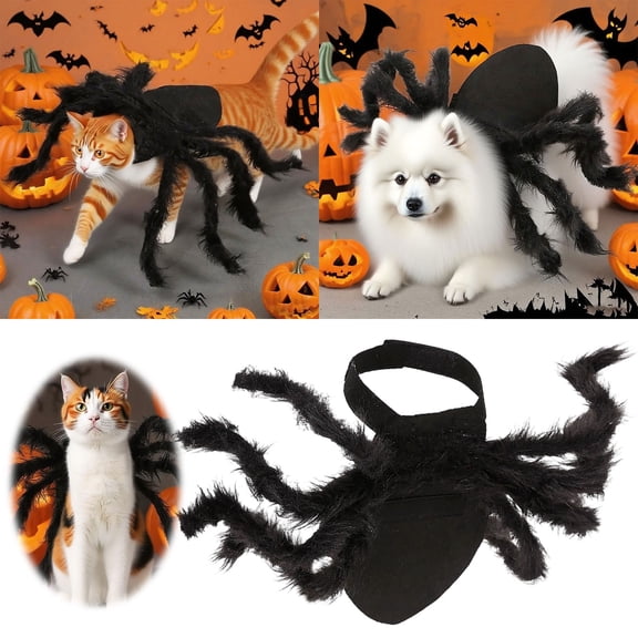 Halloween Spider Outfit for Small Medium Dogs and Cats, Pet Dress Up Apparel for Cat Dog, Cute Animal Halloween Party Decoration Accessory (Black)