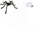 thumbnail image 1 of Halloween Spider Web Outdoor,Halloween Decor,Giant Fake Spider with Triangular Huge Spider Web,Fake Spider with Triangular Spider Web for Yard Costumes Parties Decor luau party Decor, 1 of 6