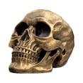 thumbnail image 1 of Halloween Statue Resin Skull, Human Head Model for Home Decoration, Human Skull Replica Model Skull Head Decoration Prop for Bar Party Home Halloween Decor Bookshelf and Desktop, 1 of 6