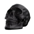 thumbnail image 1 of Halloween Statue Resin Skull, Human Head Model for Home Decoration, Human Skull Replica Model Skull Head Decoration Prop for Bar Party Home Halloween Decor Bookshelf and Desktop, 1 of 6