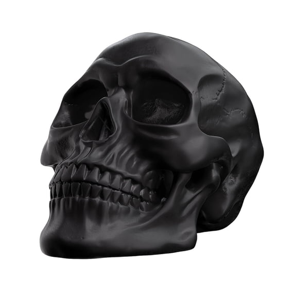 Halloween Statue Resin Skull, Human Head Model for Home Decoration, Human Skull Replica Model Skull Head Decoration Prop for Bar Party Home Halloween Decor Bookshelf and Desktop