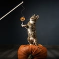 thumbnail image 1 of Halloween Themed Cat Wand Toy - Interactive Play & Exercise Tool for Cats, Festive Design to Keep Felines Entertained, 1 of 6