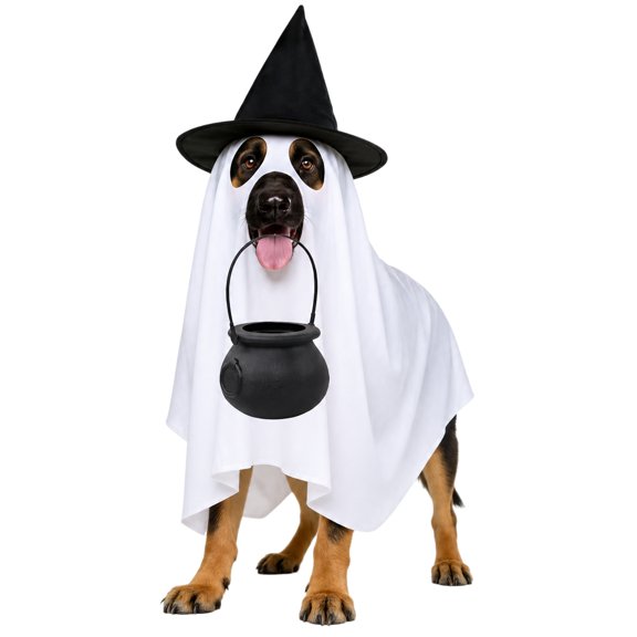 Halloween Themed Dog Costume Set with White Draped Garment, Pointed Hat, Black Bucket, and a Removable Attachment
