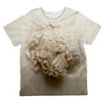 thumbnail image 1 of Halloween White Onion Costume All Over Toddler T Shirt Multi 4T, 1 of 2