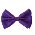 thumbnail image 1 of Halloween Wholesalers Bowtie (Purple), 1 of 1
