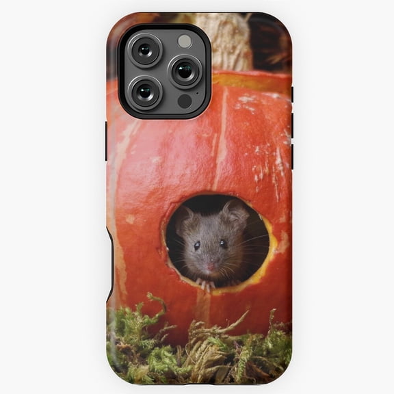 Halloween mouse inside a Pumpkin Phone Case for iPhone 16 15 14 13 12 11 Pro Max M5901667