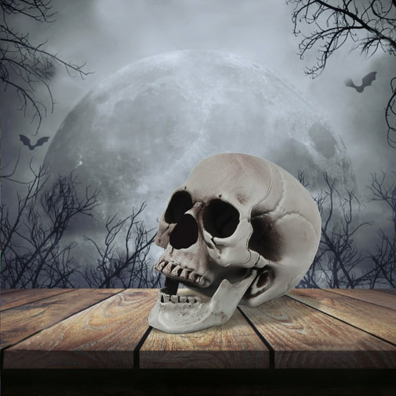 Halloween skull head Halloween skeleton realistic fake simulation human skull model