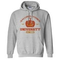 thumbnail image 1 of Halloweentown University Hoodie Sweatshirt Unisex 3X-Large Grey, 1 of 5