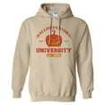 thumbnail image 1 of Halloweentown University Hoodie Sweatshirt Unisex Large Sand, 1 of 5