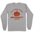 thumbnail image 1 of Halloweentown University Long Sleeve Shirt Unisex 3X-Large Grey, 1 of 5