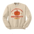 thumbnail image 1 of Halloweentown University Sweatshirt Unisex Medium Sand, 1 of 5