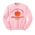 thumbnail image 1 of Halloweentown University Sweatshirt Unisex Small Pink, 1 of 5