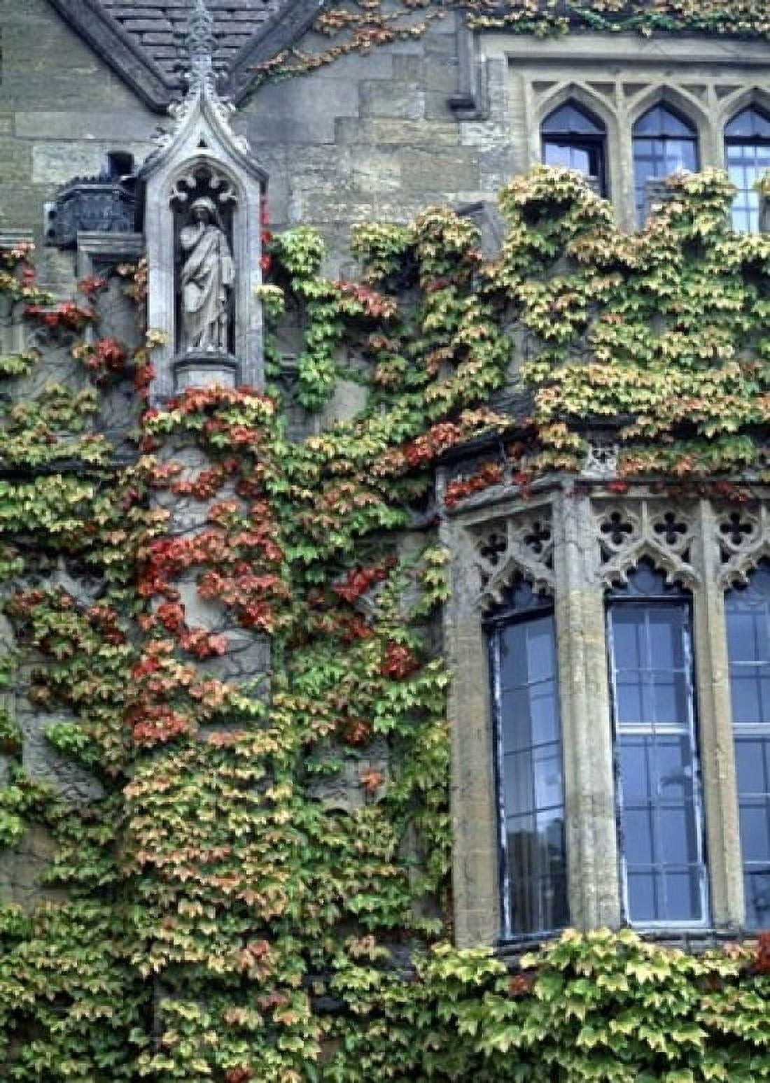 Halls of Ivy Oxford University England Canvas Art - Bill Bachmann DanitaDelimont (24 x 36)